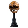 figurka-weta-lotr-czaszka-goblina