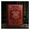 karty-theory11-harry-potter-5-talii