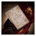 karty-theory11-harry-potter-5-talii