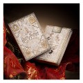 karty-theory11-harry-potter-5-talii
