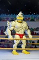 figurka-tmnt-ace-duck-stump-wrestling