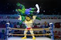 figurka-tmnt-ace-duck-stump-wrestling