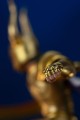 figurka-iron-studios-saint-seiya-capricorn-shura