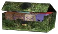 pudelko-na-karty-squaroes-dnd-tomb-of-annihilation
