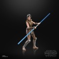 figurka-star-wars-black-series-satele-shan