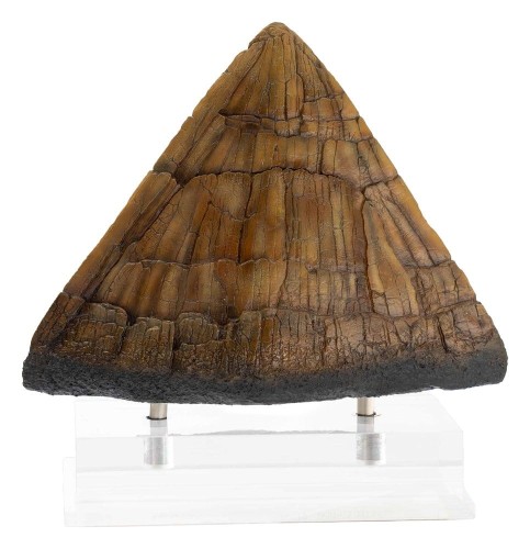 figurka-statuetka-jurassic-park-triceratops-spike-prop
