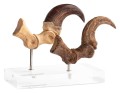 figurka-elite-creature-velociraptor-szpony-jurassic-park