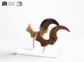 figurka-elite-creature-velociraptor-szpony-jurassic-park