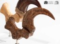 figurka-elite-creature-velociraptor-szpony-jurassic-park