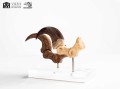 figurka-elite-creature-velociraptor-szpony-jurassic-park