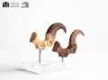 figurka-elite-creature-velociraptor-szpony-jurassic-park