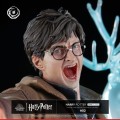figurka-tsume-ikigai-harry-potter-expelliarmus