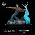figurka-tsume-ikigai-harry-potter-expelliarmus