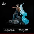 figurka-tsume-ikigai-harry-potter-expelliarmus