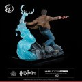 figurka-tsume-ikigai-harry-potter-expelliarmus