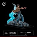 figurka-tsume-ikigai-harry-potter-expelliarmus