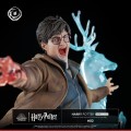 figurka-tsume-ikigai-harry-potter-expelliarmus