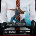 figurka-tsume-ikigai-harry-potter-expelliarmus