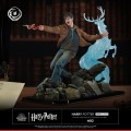 figurka-tsume-ikigai-harry-potter-expelliarmus