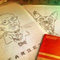fallout-wasteland-treasures-kit-doctor-collector