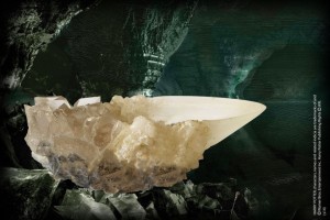 Replika Harry Potter Crystal Goblet Muszla Z Jaskini