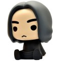 Skarbonka Harry Potter Snape.JPG