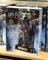 Noble Collection Harry Potter Replica 1/1 Basilisk Fang and Tom Riddle Diary