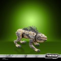 Tusken Warrior And Massiff Hasbro Figurka 11
