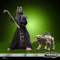 Tusken Warrior And Massiff Hasbro Figurka 14