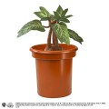 Noble Collection Maskotka Harry Potter Interactive Pluszak Mandrake 30 cm
