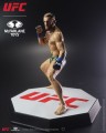 McFarlane Toys UFC Posed PVC Statuetka Conor McGregor Figurka 18 cm