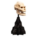 Weta Workshop Lord of the Rings Mini Statuetka Skull of Lurtz Figurka 14 cm