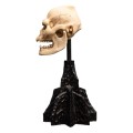 Weta Workshop Lord of the Rings Mini Statuetka Skull of Lurtz Figurka 14 cm