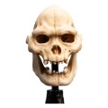Weta Workshop Figurka Lord of the Rings Mini Statuetka Skull of Lurtz 14 cm