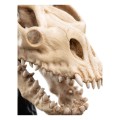 Figurka Lord of the Rings Mini Statuetka Skull of a Fell Beast Weta Workshop 21 cm