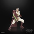 Figurka Star Wars: The Acolyte Black Series Jedi Master Indara Hasbro 15 cm