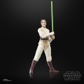 Hasbro Figurka Star Wars: The Acolyte Black Series Jedi Master Indara 15 cm