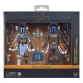 Hasbro Star Wars: The Mandalorian Black Series 2-Pack Mandalorian Shriek-Hawk Trainers Figurka 15 cm