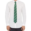 Przypinka Harry Potter Tie & Metal Deluxe Pudełko Slytherin Cinereplicas