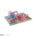 Cinereplicas Harry Potter Notatnik A5 Luna Lovegood