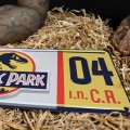 Jurassic Park 1/1 Dennis Nedry License Plate Replika FaNaTtik