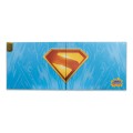McFarlane Toys Superman (2025) DC Direct Super Powers 5-Pack Gold Label Figurka 11 cm