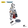 Joy Toy (CN) Warhammer The Horus Heresy 1/18 Ultramarines Apothecary Biologis Figurka 12 cm