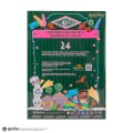Cinereplicas Harry Potter Advent Calendar Honeydukes 2025