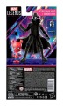 Hasbro Spider-Man: Into the Spider-Verse Marvel Legends 2-Pack 2022 Spider-Man Noir & Spider-Ham Figurka 15 cm