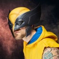 Deadpool--Wolverine-Premium-Roleplay-Mask-Wolverine
