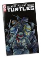 Figurka McFarlane Teenage Mutant Ninja Turtles Michelangelo McFarlane Toys 13 cm