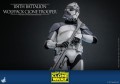 104th Battalion Wolfpack Clone Trooper Figurka Hot Toys 30 cm