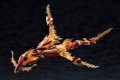 Kotobukiya Model XenoAlma Blaze Ophis 26 cm