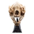 Weta Workshop Figurka Mini Warg Skull 20 cm